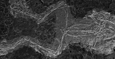 Ученые выяснили, что секс стал причиной смерти сотни лягушек 45 млн лет назад (фото)