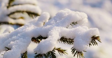 Сильные осадки и гололедица на дорогах: какой будет погода в понедельник, 3 февраля