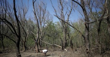 Власти предупредили о взрывах: российский Shahed мог залететь в Румынию, — СМИ