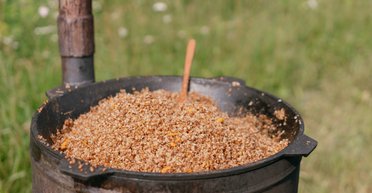 Рекордный урожай гречки в Украине: как изменятся цены после сбора