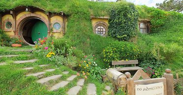 Пара проводила свадьбу в стиле хоббитов, когда их неожиданно поздравил настоящий Фродо (видео)