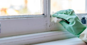 Один трюк поможет уберечь дом от плесени: что нужно сделать