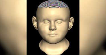 Анализ ДНК помог раскрыть тайну тел, найденных на дне средневекового колодца