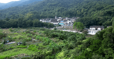 Мешканці повертаються в покинуте 300-річне село: що змінилося (фото)