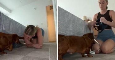 "У мене кішка": дівчина показала ранкові капризи своєї такси (відео)