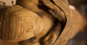 Историю Древнего царства придется переписать: археологи обнаружили необычную мумию