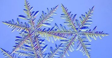 Головний атрибут зими: наскільки великими можуть бути сніжинки та яка вважається найбільшою