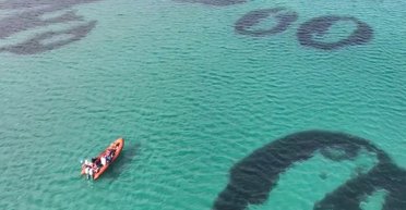 Почти столетие тому "волшебные круги" исчезли у побережья Шотландии: теперь они вернулись вновь