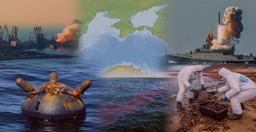 Без курортов, дельфинов и с мазутом: как война убивает Черное море