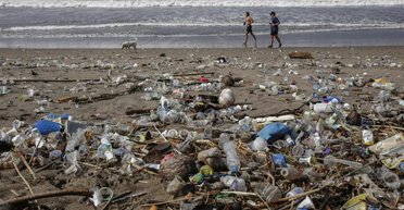 Микробы по всему миру начали поедать пластик, — исследование