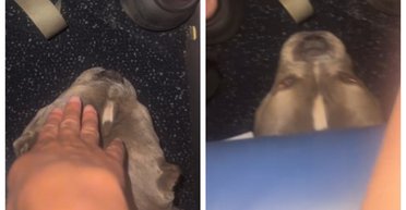 Пассажир самолета раздражал женщину своими действиями: впоследствии стало ясно, кто это был (видео)