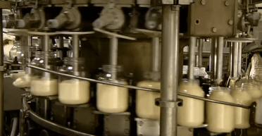 "Тепер я не зможу його їсти": люди дізналися справжній рецепт майонезу (відео)