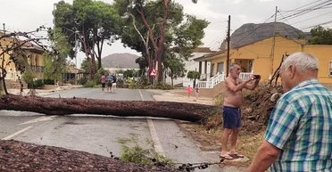 Ураган ломает деревья, как спички: на Испанию обрушился "библейский" шторм (видео)