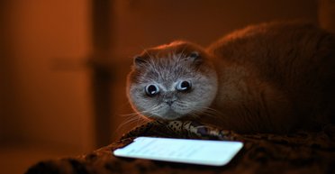 Зарядил смартфон – получил штраф: когда могут обвинить в продаже электроэнергии от генератора