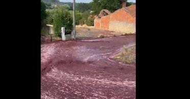 Червоні ріки: в Португалії вино затопило вулиці міста (відео)