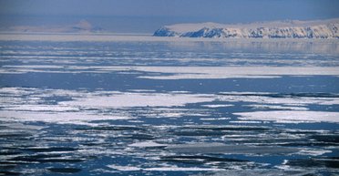 США хотят купить у России острова за 15 млрд долларов: военный предложил неожиданный план