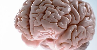 Хвороба Альцгеймера може бути заразною: що з'ясували вчені