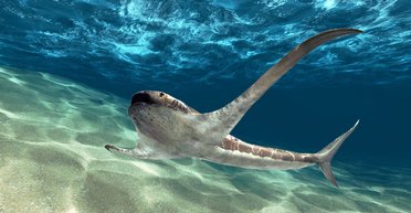 Ученые открыли удивительную крылатую акулу, обитавшую в меловой период (фото)