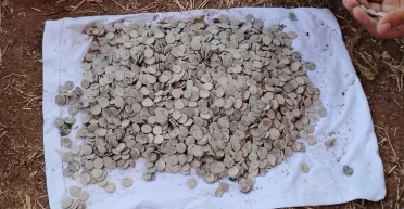 Тысячи монет и артефакты: в Индии археологи нашли клад Солнечной династии (фото)