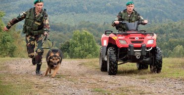 Золотая граница. Как в Закарпатье работает бизнес на контрабанде