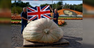 Братья вырастили самую большую в истории тыкву: только подъемник может ее поднять (фото, видео)