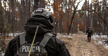 Украинцы повысили уровень преступности в Польше: за какие "грехи" их задерживали чаще всего