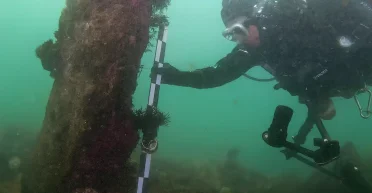 Подводные стены удивили ученых: зачем их построили тысячи лет назад (фото)