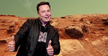 Провокация Маска обернулась скандалом: польский министр очень далеко послал миллиардера