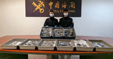 Жінку спіймали під час спроби провезти через аеропорт 439 "інопланетних" жуків (фото)