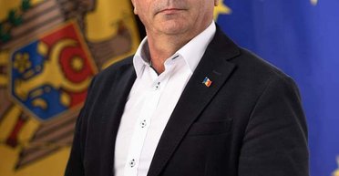 В Молдове после укуса осы скончался депутат парламента