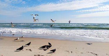 Відпочинок в Одесі: скільки платять українці за житло біля моря влітку 2025 року