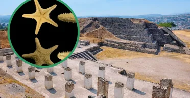 Не ожидали найти: ученые нашли неожиданные артефакты в ритуальном захоронении тольтеков