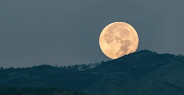 Чому Місяць здається більшим, коли перебуває над горизонтом: відповідь може здивувати (фото)