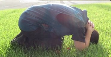 Как защититься от медведя: ученые из Японии рассказали, какую позу нужно принять