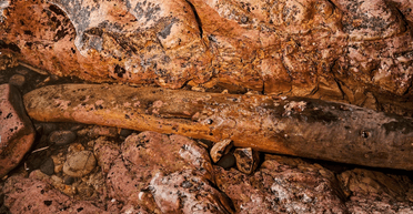 Вдохновил на создание "Балбесов". В Орегоне нашли фрагменты легендарного корабля XVII века