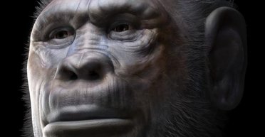 З Африки одночасно вийшли два види стародавніх людей, а не один: що виявили вчені (фото)