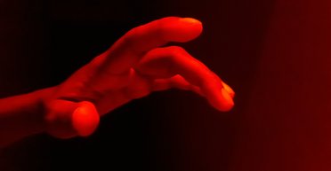 Все живое на Земле может светиться невидимым светом: он исчезает после смерти (фото)