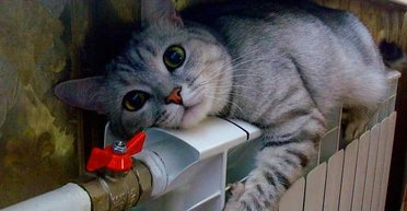 Повернути тепло в квартиру: 2 способи обігріти житло, коли немає ні опалення, ні електрики