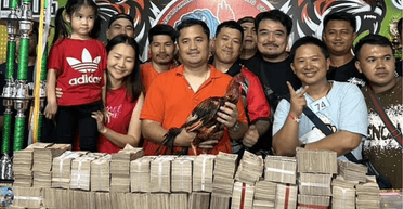 Легенда спорта: владелец продал любимого бойцовского петуха за рекордную сумму (фото)