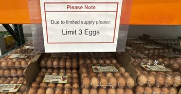 После многочисленных упреков и угроз США попросили страны ЕС помочь с яйцами