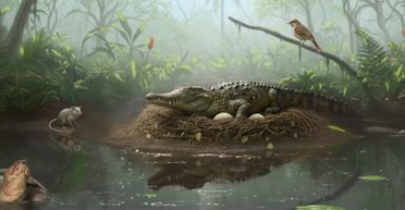 К счастью, все вымерли. В Австралии 55 млн лет назад крокодилы прыгали с деревьев