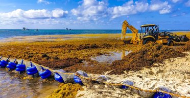 Нечто, прибывшее из моря, захватывает Атлантический океан: мы наконец знаем, почему