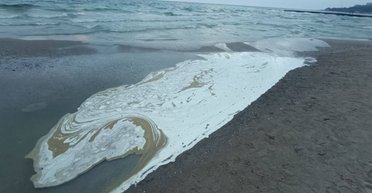 "Це екологічна катастрофа": експерт розповів, звідки в Одеській затоці з'явились плями (фото)