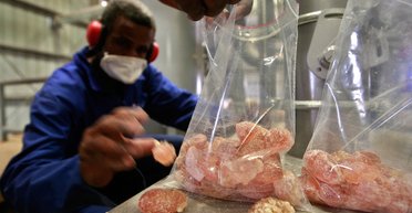 Мир может остаться без Кока-колы, конфет и йогуртов из-за войны в Судане