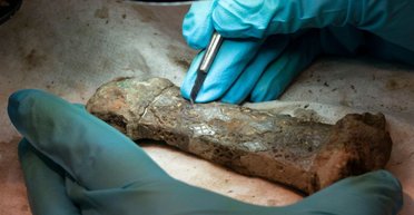 Собрали как пазл: ученые нашли редкий меч викингов (фото)