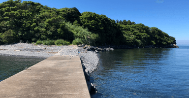 Новий рівень: на безлюдному острові проведуть масштабну гру в хованки