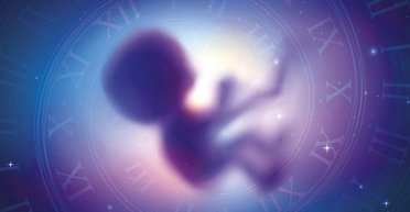 Учені прагнуть зачати першу дитину в космосі: у чому причина