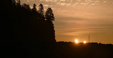 Деревья в Италии предсказали солнечное затмение: старые ели предупредили молодняк