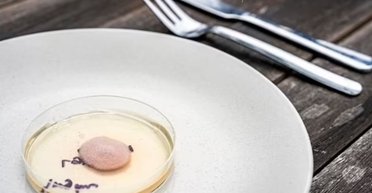 Дивний новий світ: у лабораторії з цвілі виростили котлету для бургерів (фото)