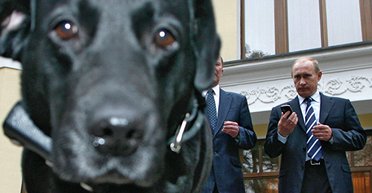 Оборона Крыма. Где порылась путинская собака